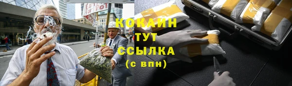 сатива Абаза