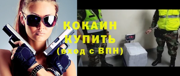 сатива Абаза