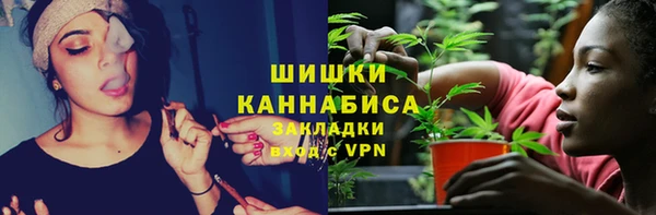 сатива Абаза