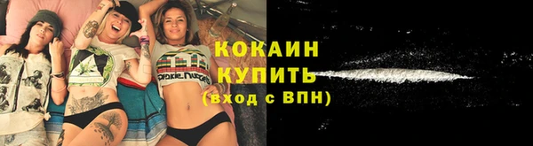 сатива Абаза