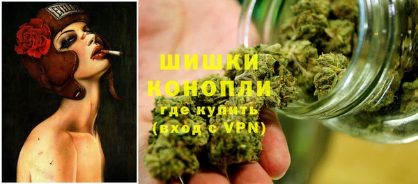 сатива Абаза